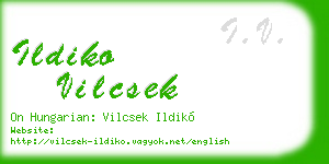 ildiko vilcsek business card
